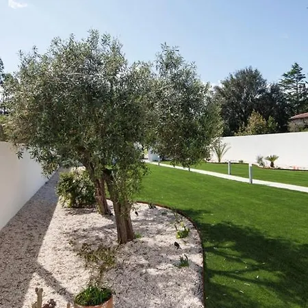 Casa Milly شقة أولبيا